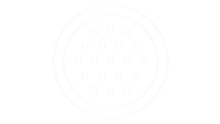 19-PIN INTERFACE